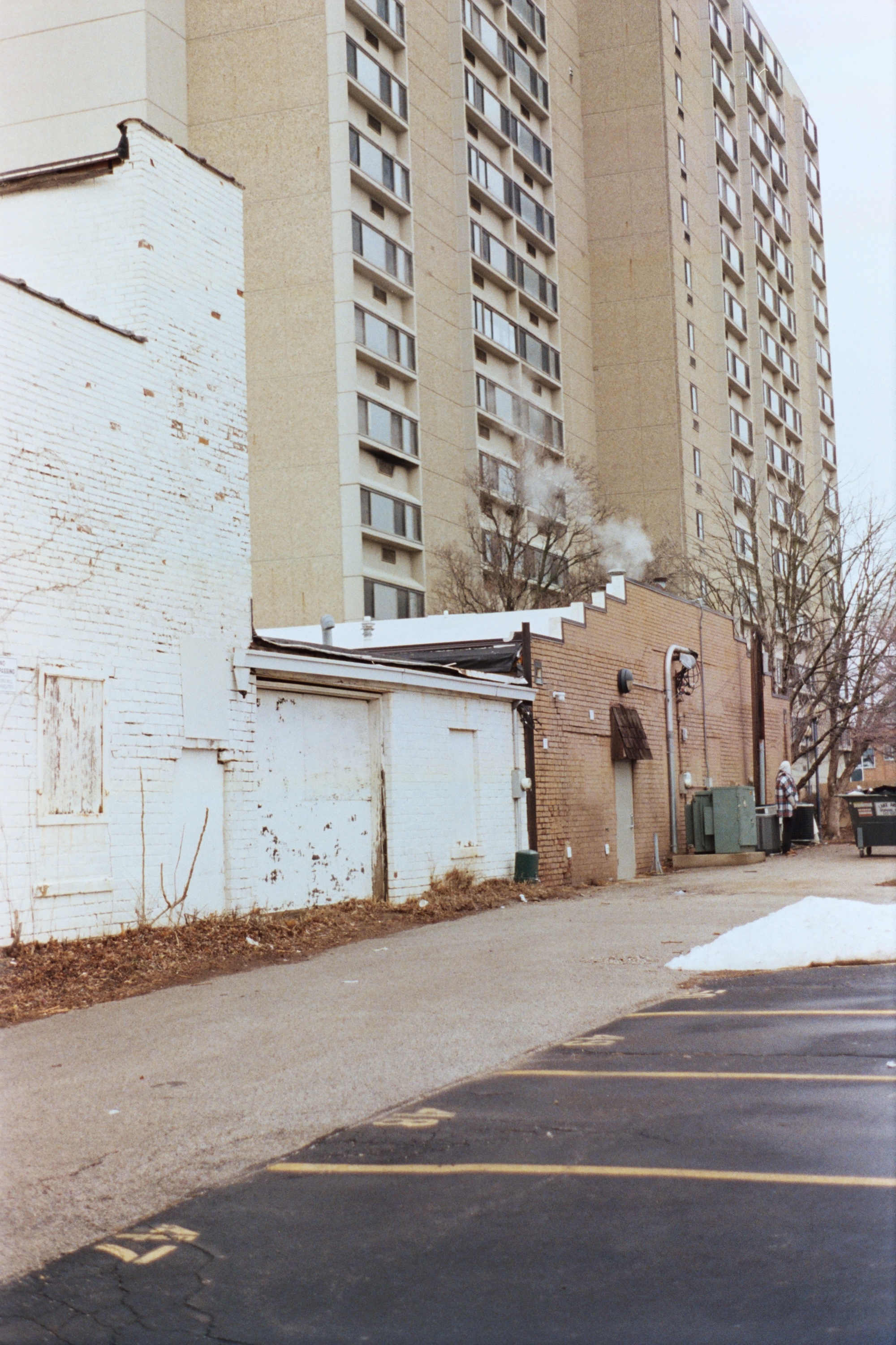 Springfield 05